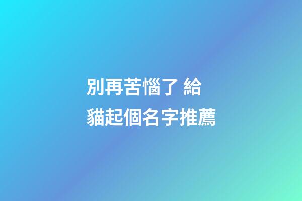 別再苦惱了 給貓起個名字推薦